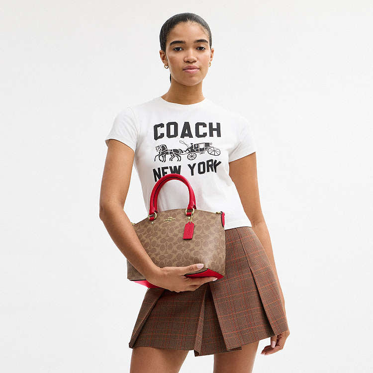 Coach Sadie Satchel Bag With Tan/Carnation